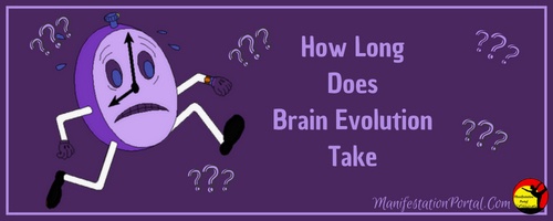 Brain Evolution System My Personal Detailed Review Brainev Time Requirement